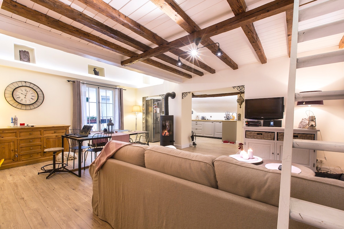 appartement-cocoon-annecy